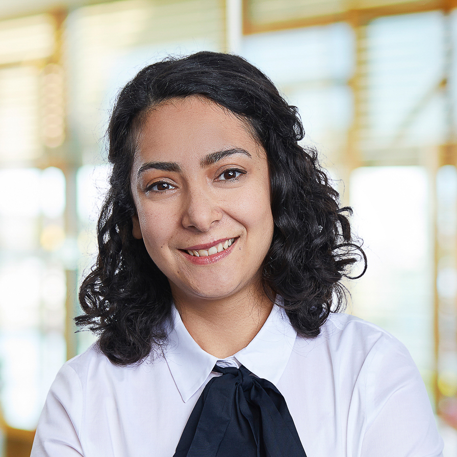 Nikoo Ghaffarian Shoaee, Associate