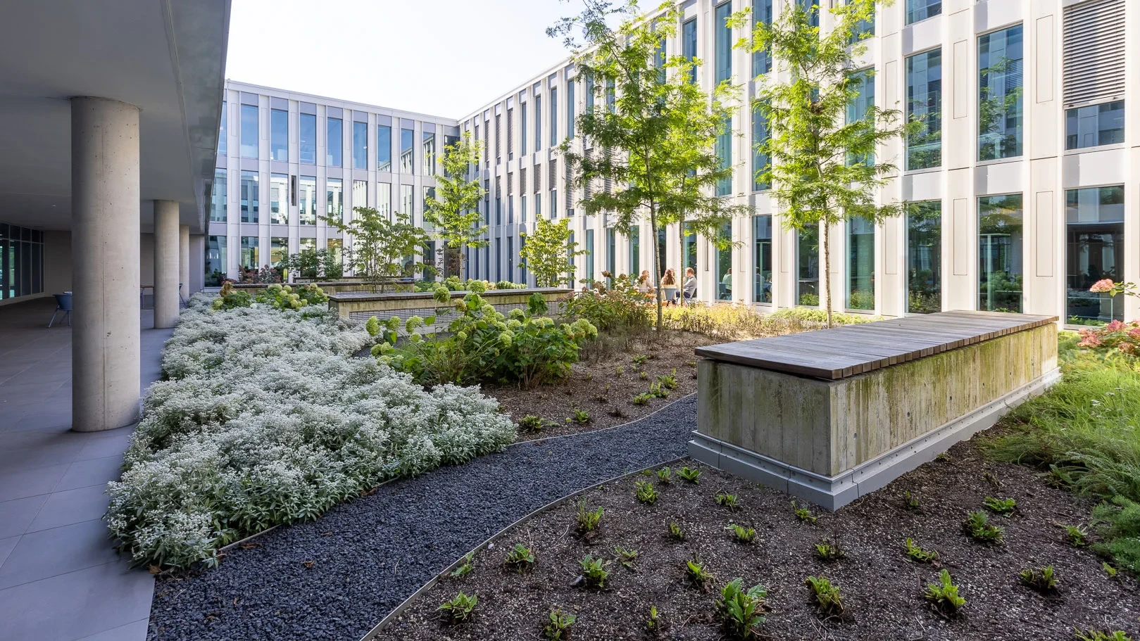 Diapharm Büro Innenhof Moderner, begrünter Innenhof eines Bürogebäudes mit Sitzgelegenheiten, Pflanzen und Bäumen, umgeben von großen Fensterfronten.