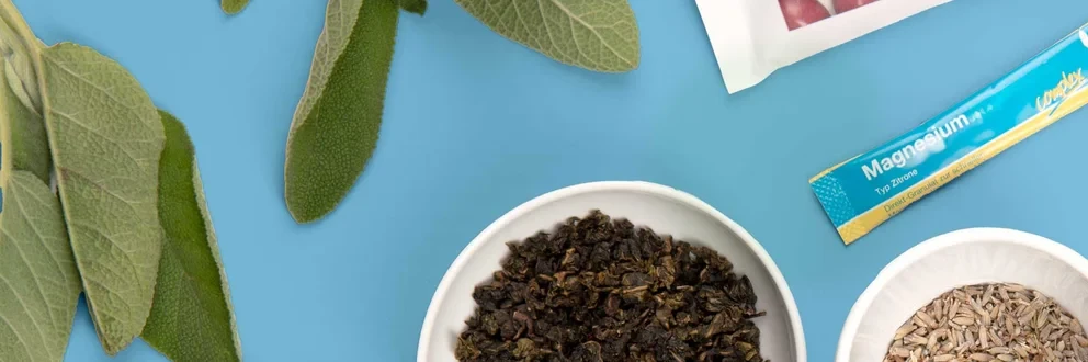 Natürliche und pharmazeutische Vitalstoffe Verschiedene Kräuter, Tabletten, Kapseln und Nahrungsergänzungsmittel auf hellblauem Hintergrund arrangiert.